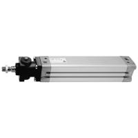 Стандартный пневмоцилиндр Camozzi 6PF3P125RL0250G