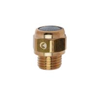 Глушитель латунный резьбовой Camozzi 2901 3/8